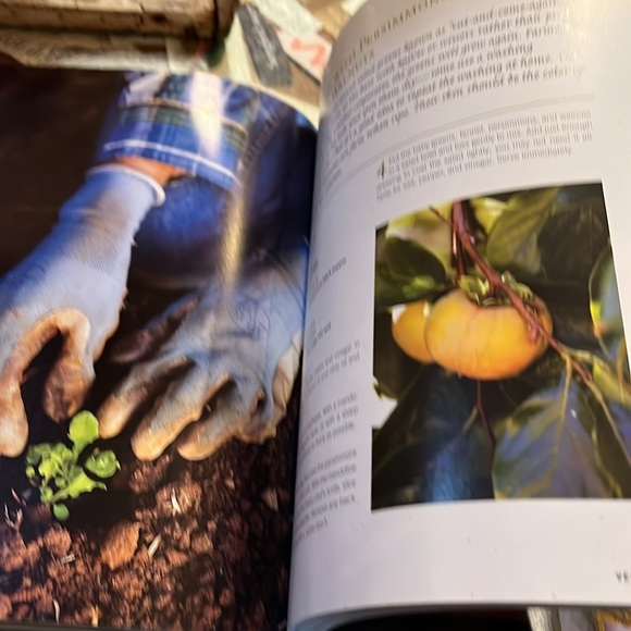 Sur La Table Eating Local Cookbook - Picture 4 of 12